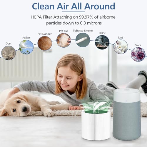411i Max 411a Replacement Filters for Blueair 411i Max and 411a Max Air Purifier, F4MAX Particle and Activated Carbon Filter, 2 Pack