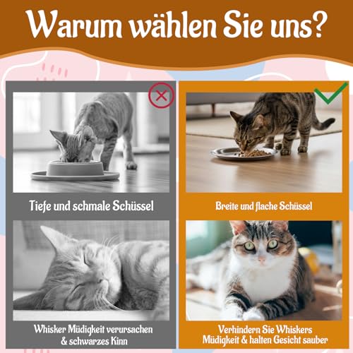 Katzennapf Edelstahl, Futternapf Katze, 3er-Set Futternäpfe Für Katzen Aus Rostfreiem Stahl, 15 x 15 x 2,4 cm, Silberne Katzennäpfe Für Trocken- Und Nassfutter