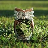 La Jolíe Muse Gartendeko Eule Solar Leuchte, aus Kunstharz Wetterfest, Weihnachten Geschenk Eule, Gartenfigur Ornament für draußen Hof & Balkon H27 x W16cm