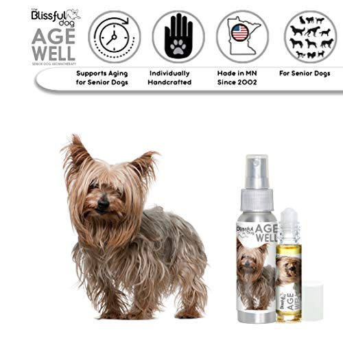 Image of The Blissful Dog Yorkshire Terrier Age Well Dog Aromatherapy Roll-On Bottle for Your Dog's Peaceful Ageing
