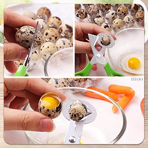 2Pcs Stainless Steel Quail Egg Scissors Egg Slicer Pigeon Clipper