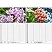 Wall Planner Family Planner 4 Columns - Orchid Magic DIN A3 Calendar for 2022 Orchids and Flowers