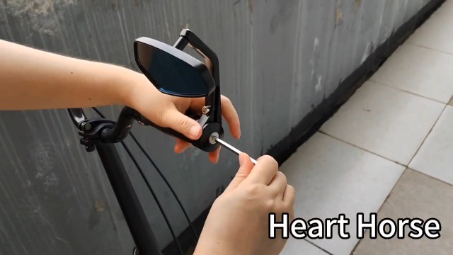 Heart