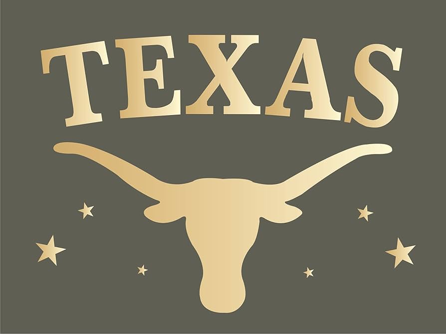 stencils-by-joanie-texas-stencil-longhorn-steer-cow-stars-farmhouse-diy-craft-signs-wes9-arts-crafts-sewing-amazon-com