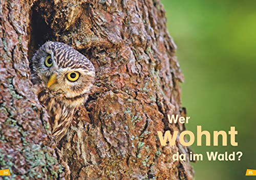 WAS IST WAS Erstes Lesen Band 6. Wald