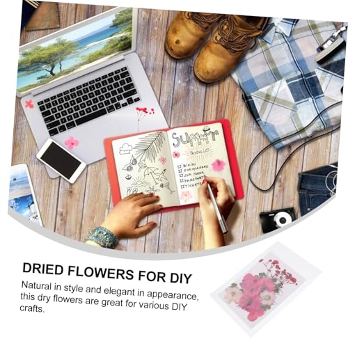 30 piezas de flores secas para manualidades DIY miniatura 7