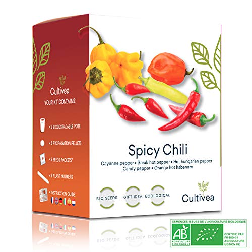 CULTIVEA - Mini kits (Peperoni)