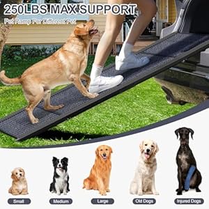   Dog-Ramp-for-Car-63-Long-17-Wide-Folding-Portable-Pet-Stair-Ramp-with-Non-Slip-Rug-Surface-Extra-Wide-Dog-Steps-for-Medium-Large-Dogs-Up-to-250LBS-Enter-a-Car-SUV-Truck