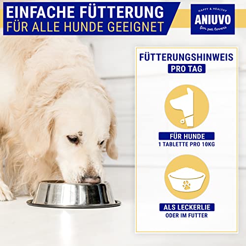 ANIUVO® Vitamin B Komplex Hund [120 Tabletten] für 4 Monate - Hochdosiertes Vitamin B für Hunde - Made in Germany - Hunde Vitamine mit B1, B2, B3, B5, B6, B7, B9 & B12 - Vitamin B Hund