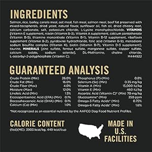 Purina Professional Plan Delicate Pores and skin and Abdomen Canine Meals Salmon and Rice Method – 30 lb. Bag