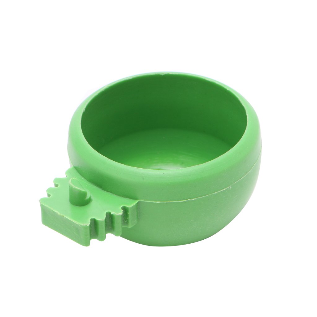 DRAGONRUN Parrot Feeding Cups Safe Dish Bird Food Bowl Water Cup with Handle Easy to Cage for Canary, Medium