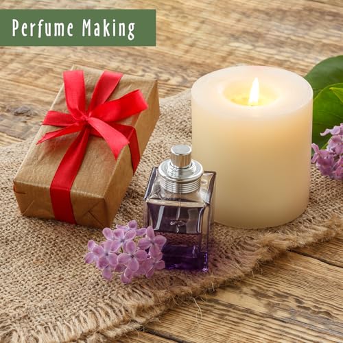Image of MitFlor Christmas Tree Fragrance Oil, 30ml Winter Holiday Diffuser Oil Scents, Large Size Premium Fragrance Oil for Soap Candle Making, Essential Oil for Diffusers for Home