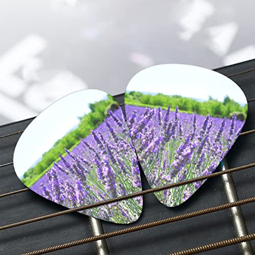 Pack de 12 médiators violets pour guitare électrique Guitare acoustique Diverses guitares - Les Beatles, Paul McCartney, John Lennon, RIngo Starr, George Harrison Pack de 12 médiators violets pour guitare électrique Guitare acoustique Diverses guitares – Image 7