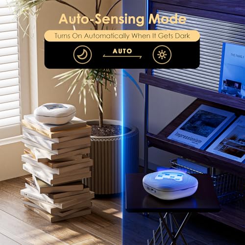 Image of Flying Trap Insect, 2 in 1 Portable Fruit Fly Trap 4000 mAh, 2 Trap Wihte and 10 Glue Cards, Fruit Fly Traps for Gnat, Moth, Mosquito, Suitable for Home, Outside,Patio,Backyard,Camping