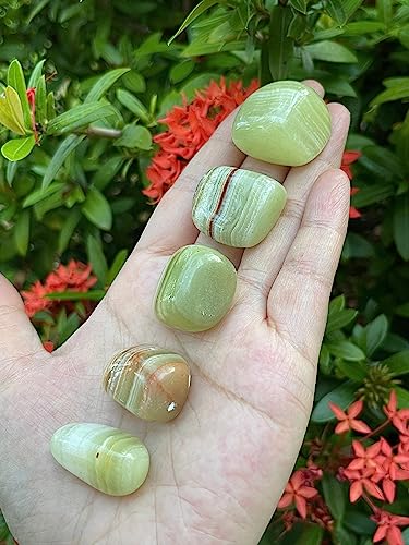 Image of GAF TREASURES 1 /2 LB Green Onyx Tumbled Stones, Polished Green Onyx Gemstone, Green Onyx Healing Crystals (Green Onyx)