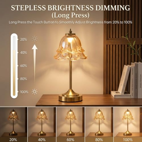 Image of NYRWANA Cordless Rechargeable Glass Table Lamp with 2000mAh Battery, USB-C Charging, Stepless Dimming, 3 Colour Touch Control, Lamp for Bedroom, Living Room, Home Decor (Metal)