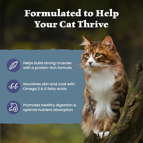 Image of Blue Buffalo Wilderness High Protein Grain Free Dry Food for Adult Cats, 40% Protein, with Chicken, 15 lb. Bag
