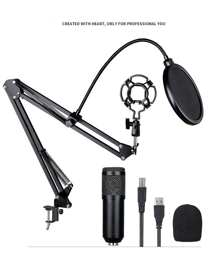 Amazon.com: Aokicase USB 懸掛式電容式麥克風組,192KHz/24 位