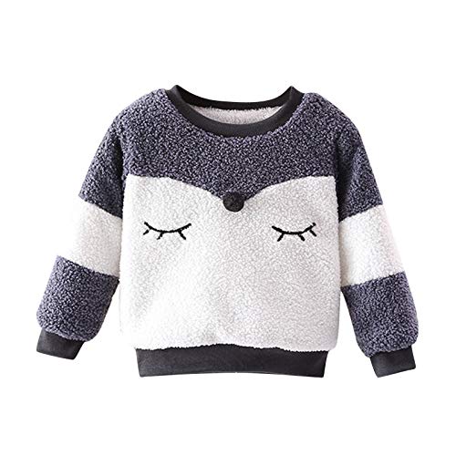 Toddler Baby Shirs Tops Clothes,Boys Girls Long Sleeve Cartoon Fleece Tops Pullover Sweatshirt Gray