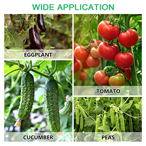 Docred 6 Pack Tomato Cage, Plant Supports Garden Stakes, Up To 49In Multi-Functional Garden Trellis Stakes For Climbing Plants Vegetables Flowers #TOP7