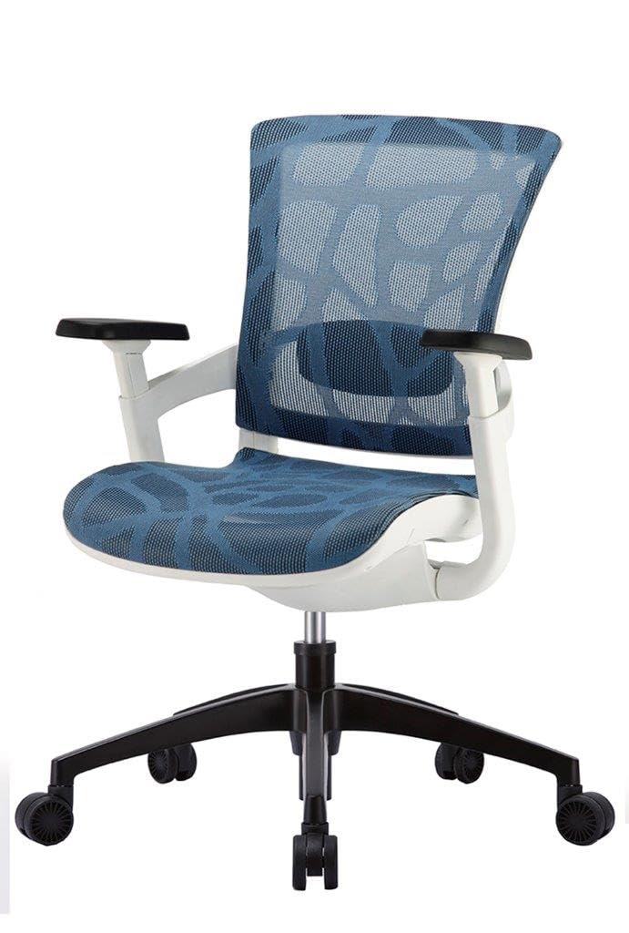 Amazon.com: Raynor Skate Mesh Ergonomic Mid-Back Office Chair