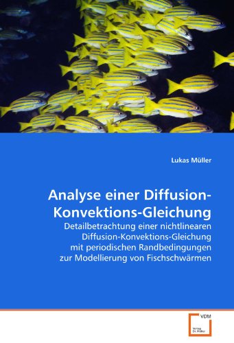 Analyse einer Diffusion-Konvektions-Gleichung: Detailbetrachtung einer nichtlinearen Diffusion-Konvektions-Gleichung mit periodischen Randbedingungen zur Modellierung von Fischschwärmen