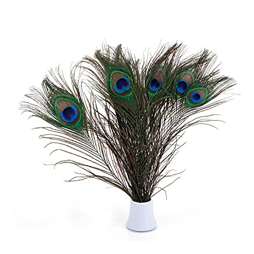 Pióra z pióra pawia, Opakowanie 10 piór pawich 25-30 cm w kolorze naturalnym
