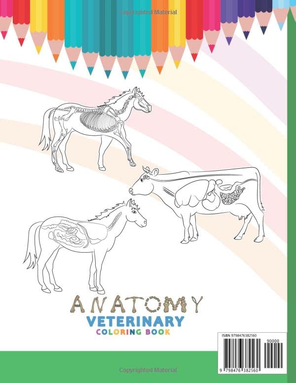 Veterinary Anatomy Coloring Book for Kids: Detailed Animal Physiology Learning Workbook for Children / Perfect Gift for Animal Lovers, Aspiring Vet Tech & Students - Image 2