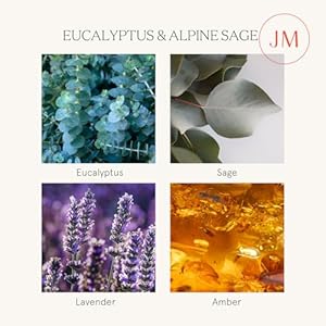 Lajoliemusescentedcandleseucalyptusalpinesagelargewoodwickedcandlesdecorativecandlesinglassnaturalsoywax90hourslongburning19oz Urban Country Home Decor La jolie muse scented candles eucalyptus alpine sage large wood wicked candles decorative candles in glass natural soy wax 90 hours long burning 19oz urban country home decor