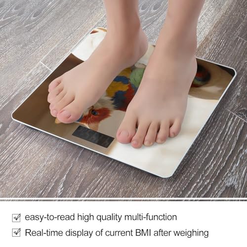 Báscula digital de baño con vidrio templado y pantalla LED clara miniatura 5