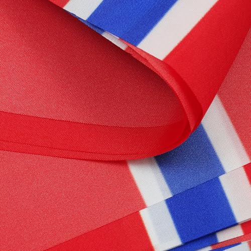 Image of AZ FLAG Norway 6 meters BUNTING Flag 20 flags 9'' x 6'' - Norwegian STRING flags 15 x 21 cm