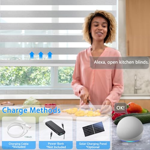 Image of Motorized Zebra Blinds Custom Size Smart Dual Layer Shades for Windows with Remote | Assembled in USA | Electric Day and Night Privacy Light Filtering Rechargeable Quiet Motor Window Shades