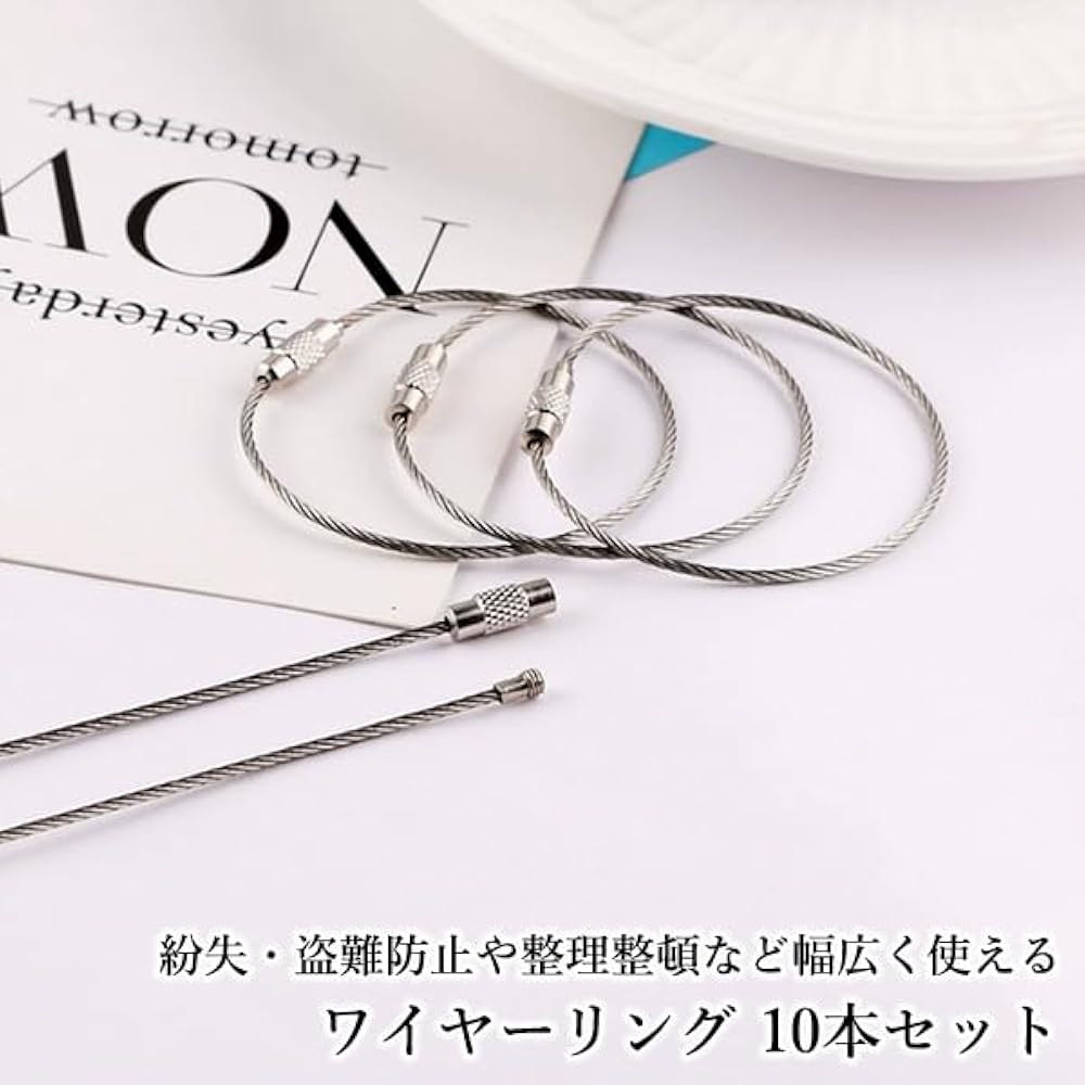 Amazon.co.jp: [RemarksJapan] ワイヤーキーホルダー ワイヤー