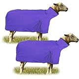 Silkfly 2 Pcs Sheep Blanket Mesh Medium Goat Blanket with Mesh Butt and Adjustable Belly Strap Fits Lambs 110-140 Lbs for Show Lambs, Offers Effective Protection from Fly Bites (Purple)