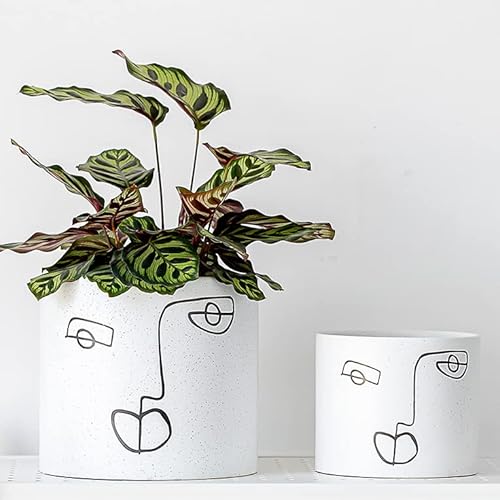 Kimisty Set 2 Ceramic Face Planters, 7 Inch & 6 Inch Modern Planter Pot With Handmade Finish, Unique Large Indoor Planter, With Drainage And A Plug #TOP11