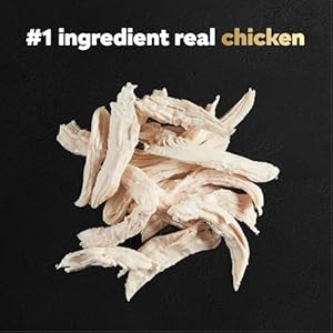   Cesar-Filets-in-Gravy-Wet-Dog-Food-Rotisserie-Chicken-Flavor-176-oz-Mini-Pouch-20-Pack