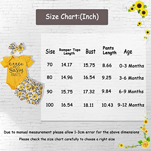 Newborn Baby Girl Clothes Infant Outfits Ruffle Romper Onesies Floral Shorts Gifts Set Cute Toddler Baby Girl Shorts Sets 6-9 months - Thumbnail 2