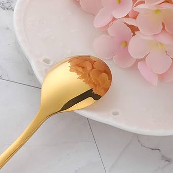 Amazon.co.jp: Dongbo ティースプーン コーヒースプーン デザート