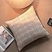 Croker Horse 20x20'' Inches Throw Pillow Cushion Cover - Emma Orange Birch Stripe Pattern Couch Sofa Pillow Covers for Living Room Bedroom