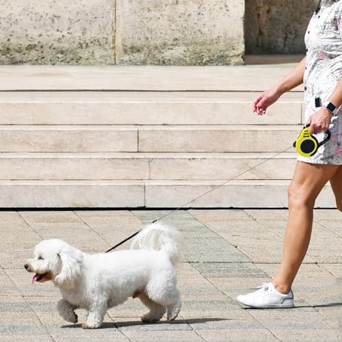 Ghazpmuk Rollleine, Hundeleine Hunde Leine Hund 5m, Ausziehleine Hund, Flexleine Verstellbar, Automatische Ausziehbare Leine Ziehen, Dog Leash Retractable für Hunde Bis 15 Kg Neongelb