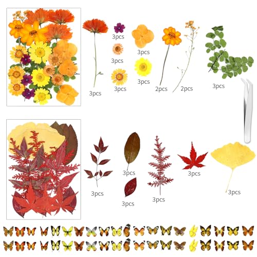 Image of 169Pcs Fall Dried Pressed Flowers for Resin, Real Natural Dry Floral Butterfly Decor for DIY Art Crafts, for Epoxy Resin Jewelry Molds Candle Jewelry Crafts