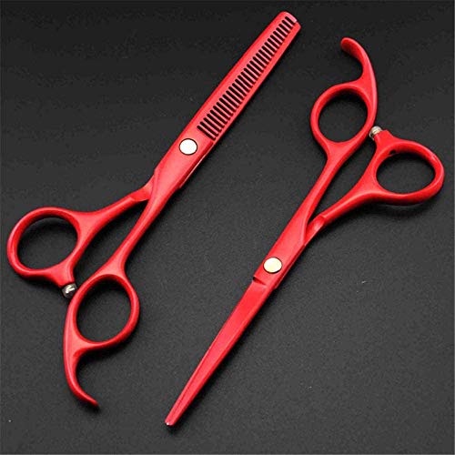 Ciseaux à cheveux 5,5 pouces ensemble de coiffure 440c 9cr13