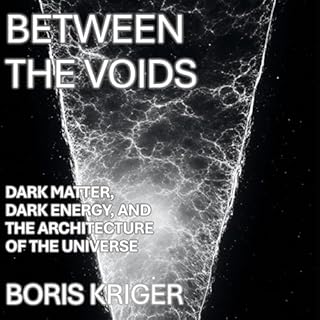 Between the Voids cover art