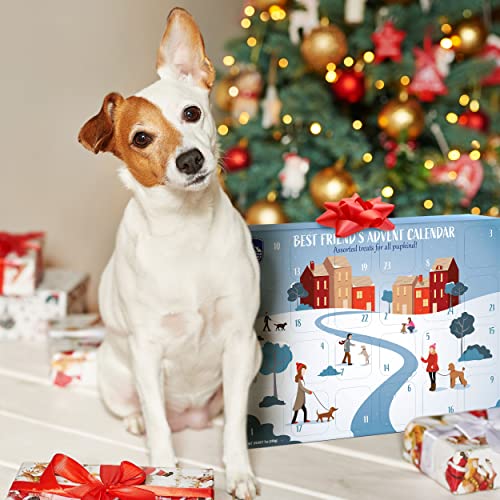 Himalayan Dog Chew 531116 24 Joyful Days Dog Advent Calendar thumb #8