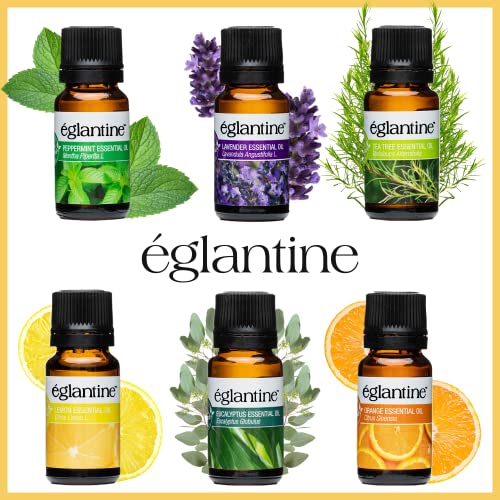 Eglantine Essential Oil Sets Top 6 Oils For Aromatherapy Oil Blends For Diffusers 100% Natural Massage, Candle Making, Home Care, Eucalyptus, Lemon, Lavender, Orange, Peppermint, Tea Tree #TOP1