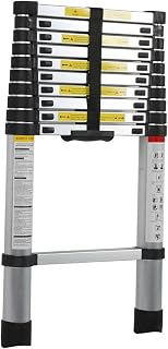 Aluminum Coping Ladder for 8m/7m/6.2m/5m/4m/3.8m/2.6m Rooftop, Aluminum Extension s for Loft RV Attic Home, Load 150kg (Size : 3m/9.8ft) Interesting LIF ()