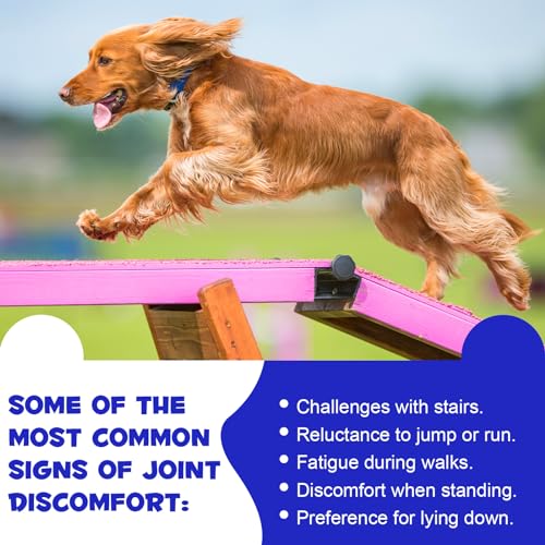 Hüft- und Gelenkergänzungsmittel für Hunde, 180 Tabletten Hunde Gelenkunterstützung & Mobilitätsergänzung, Glucosamin Chondroitin für Hunde mit ausgetrockneter Leber, Dicalciumphosphat und MSM