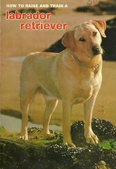 Paperback How to Raise and Train a Labrador Retriever Book