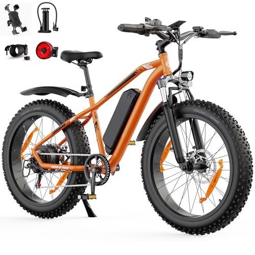 AOIHO Bici Elettrica, 26' × 4.0' Fat Tire Bici Elettrica Uomo Donna da 48V...