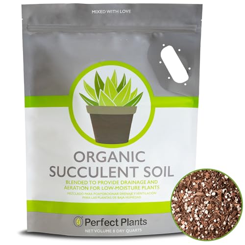 Succulent & Cactus Soil Mix by Perfect Plants (8QTS)